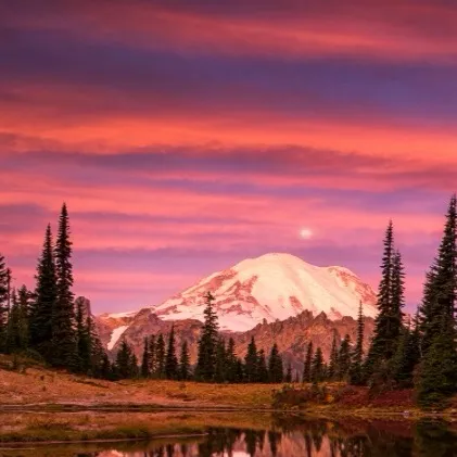 chat with ai character: KNY ffb 