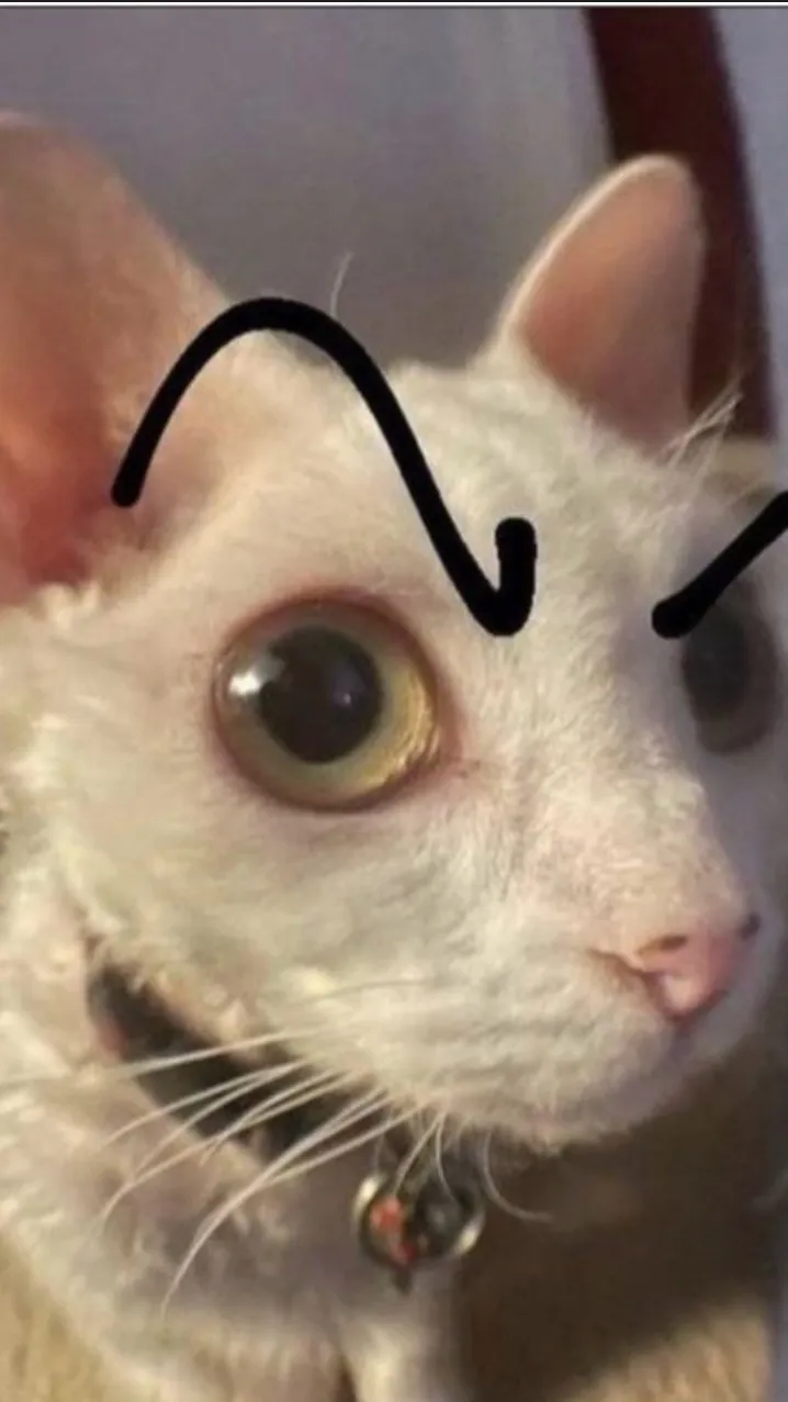 ai character: HH infection background