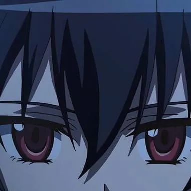 chat with ai character: Akame Ga Kill