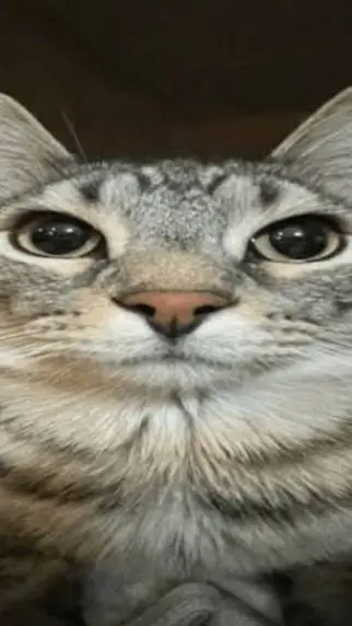 ai character: Dod x Forsaken background