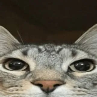 chat with ai character: Dod x Forsaken