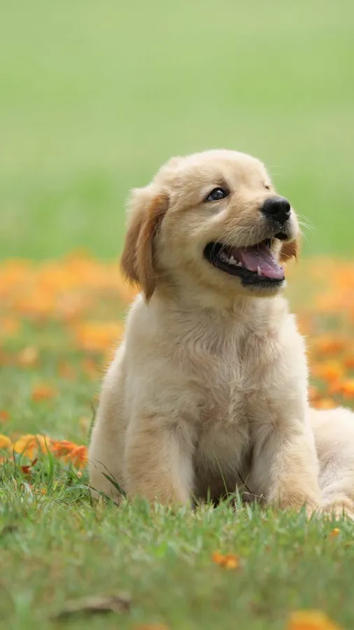 ai character: 007n7 and Elliot background