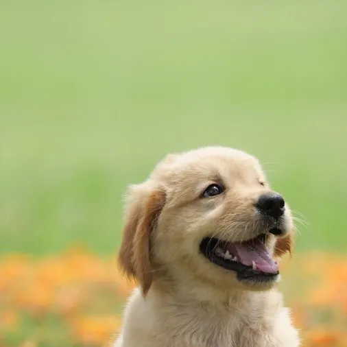 chat with ai character: 007n7 and Elliot