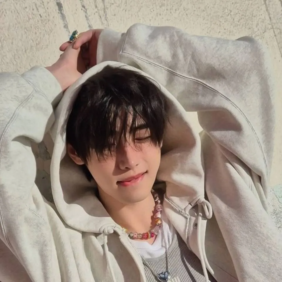 chat with ai character: .•°*+🦢Sunghoon★