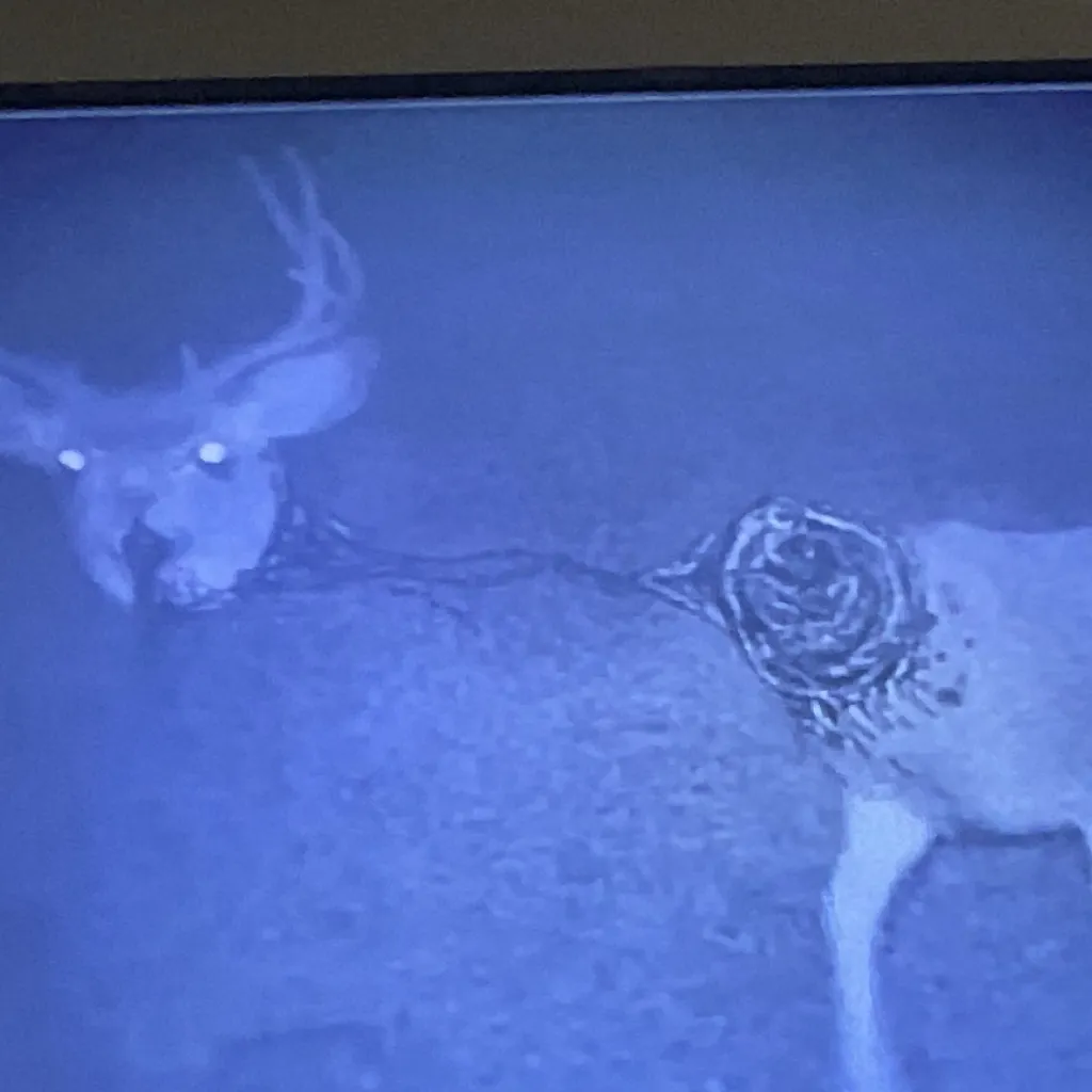 chat with ai character: Different deer !￼