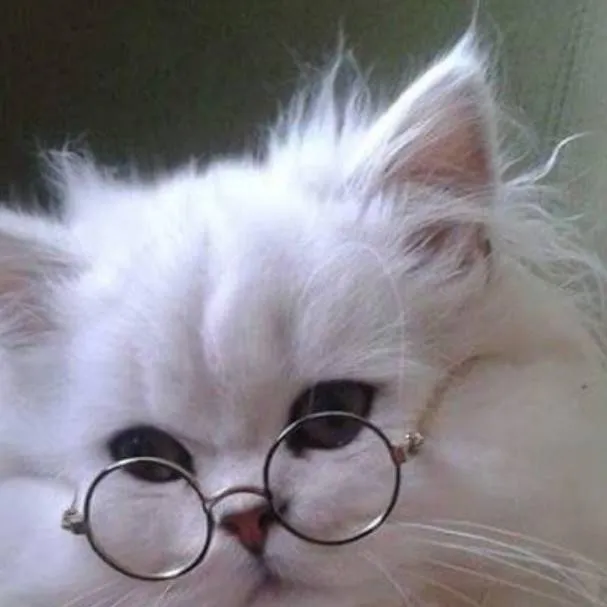 chat with ai character: cat_the_white