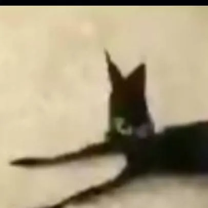 chat with ai character: sei lá 