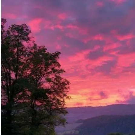 chat with ai character: psicologa