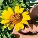 chat with ai character: Dinrendon niños 