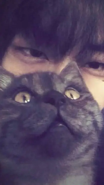 ai character: yaru background