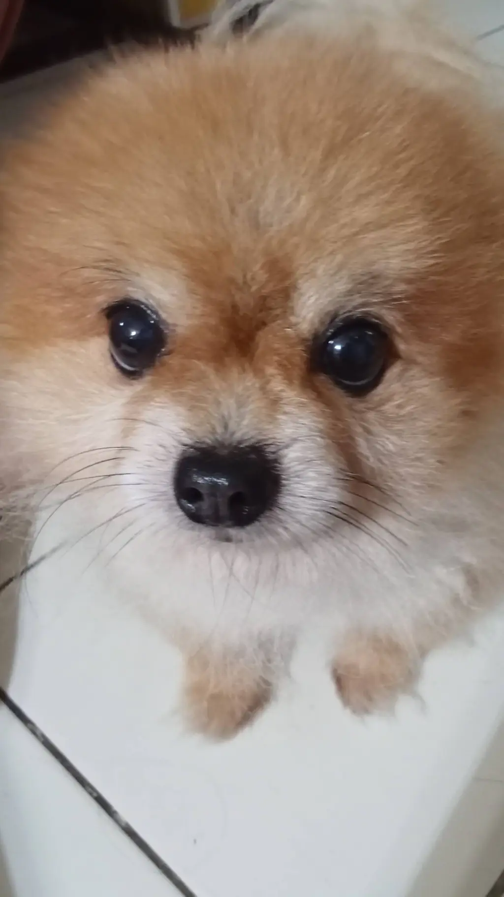 ai character: ninjago background