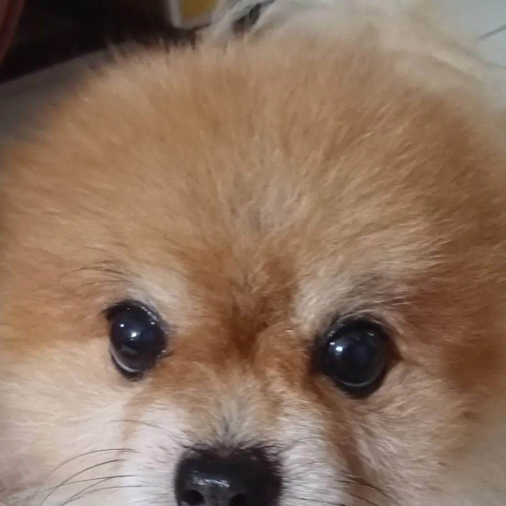 chat with ai character: ninjago