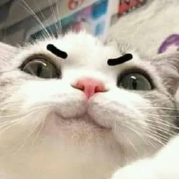 chat with ai character: kucing ajaib 