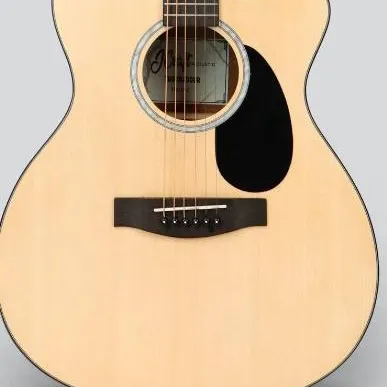 chat with ai character: acoustic guitar