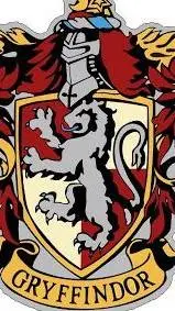 ai character: Gryffindor background