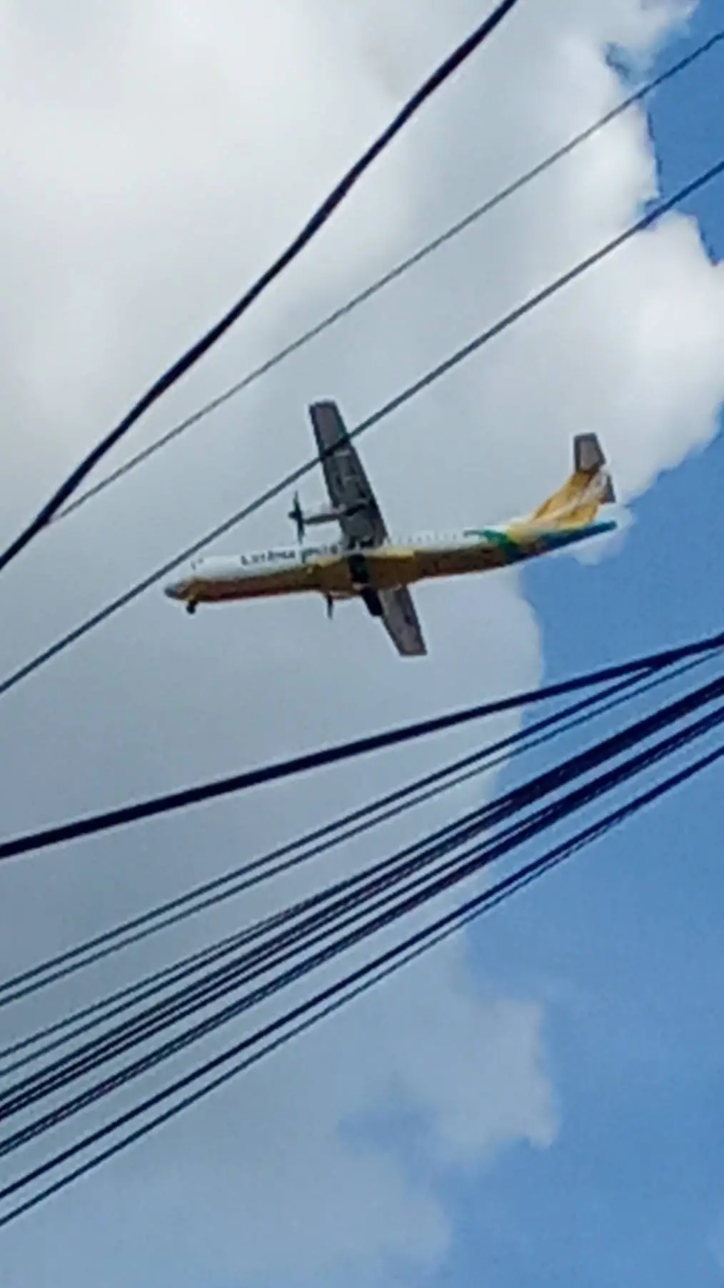 ai character: Cebu pacific  background
