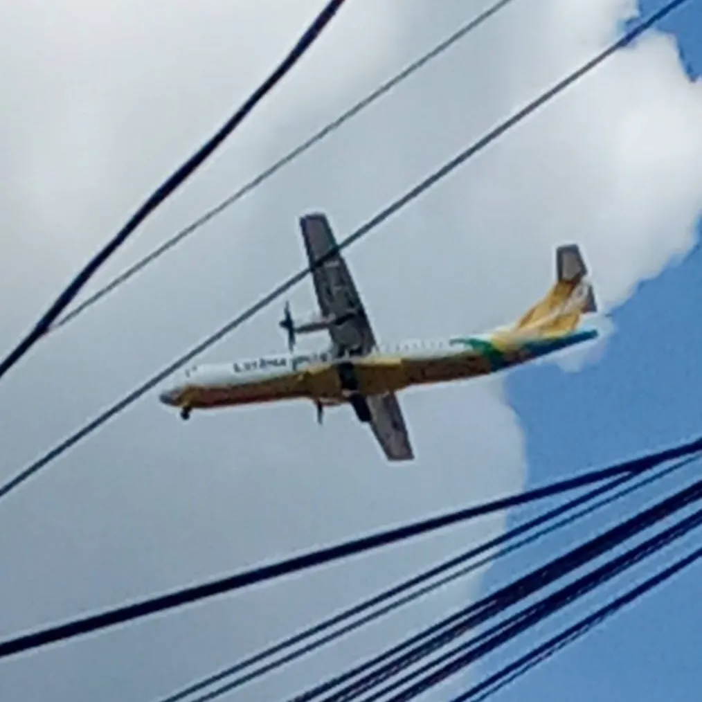 chat with ai character: Cebu pacific 