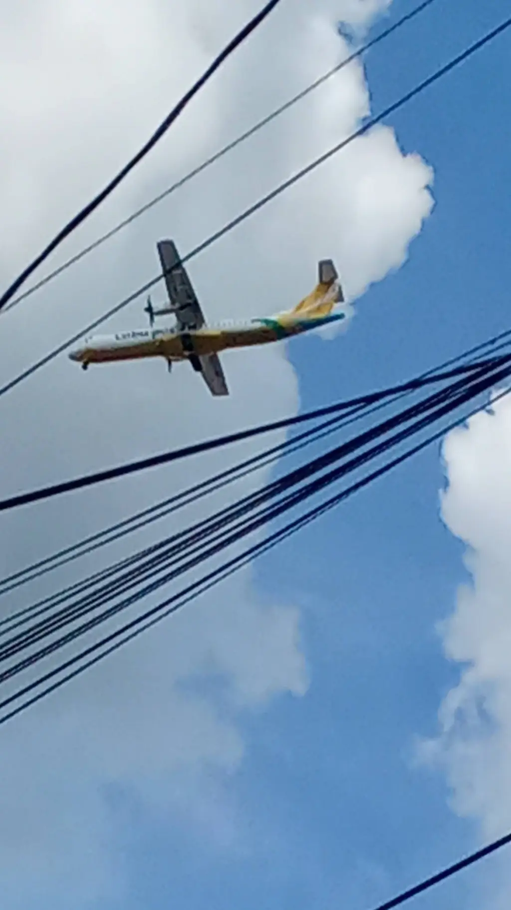 ai character: Cebu pacific  background