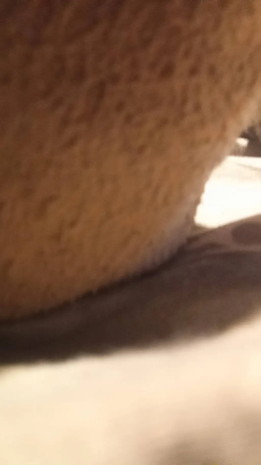 ai character: iowa tornado ef5  background