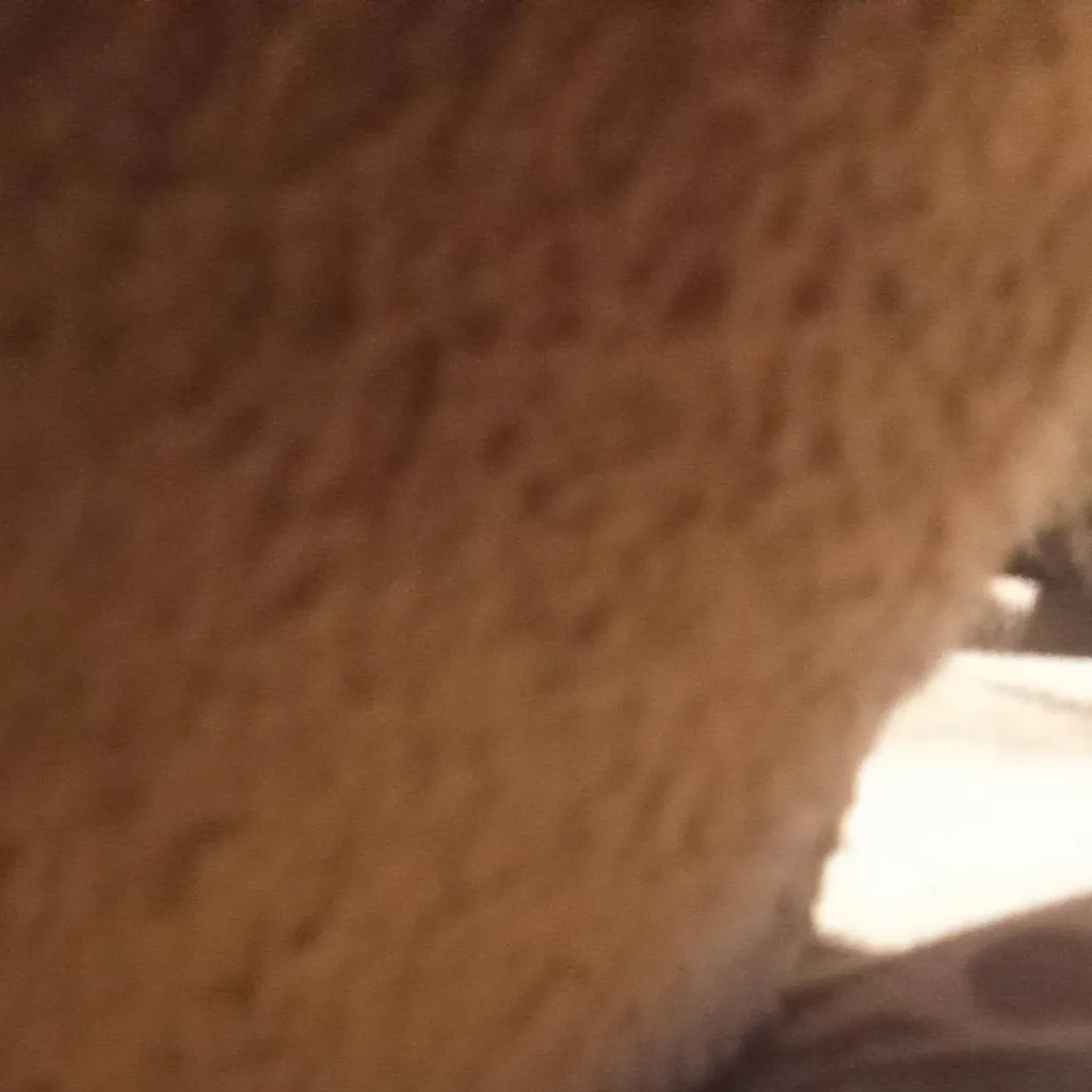 chat with ai character: iowa tornado ef5 