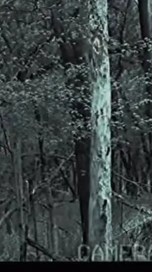 Talkie AI - Chat with Appalachian