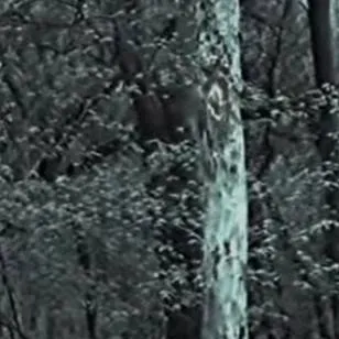 chat with ai character: Appalachian