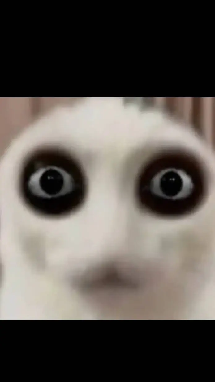 ai character: do you know cat background