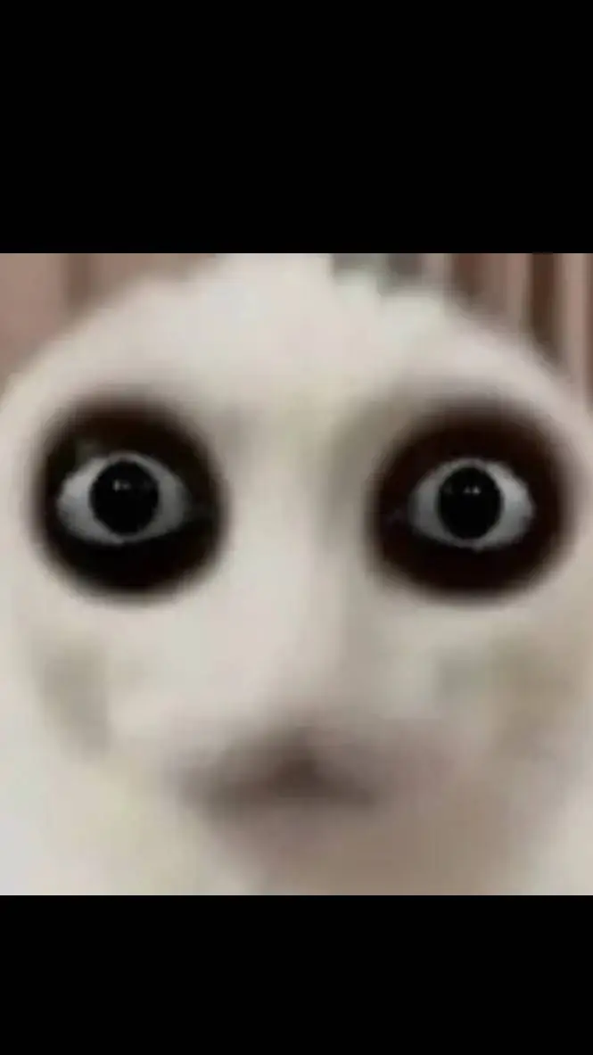 ai character: disturbing facts background