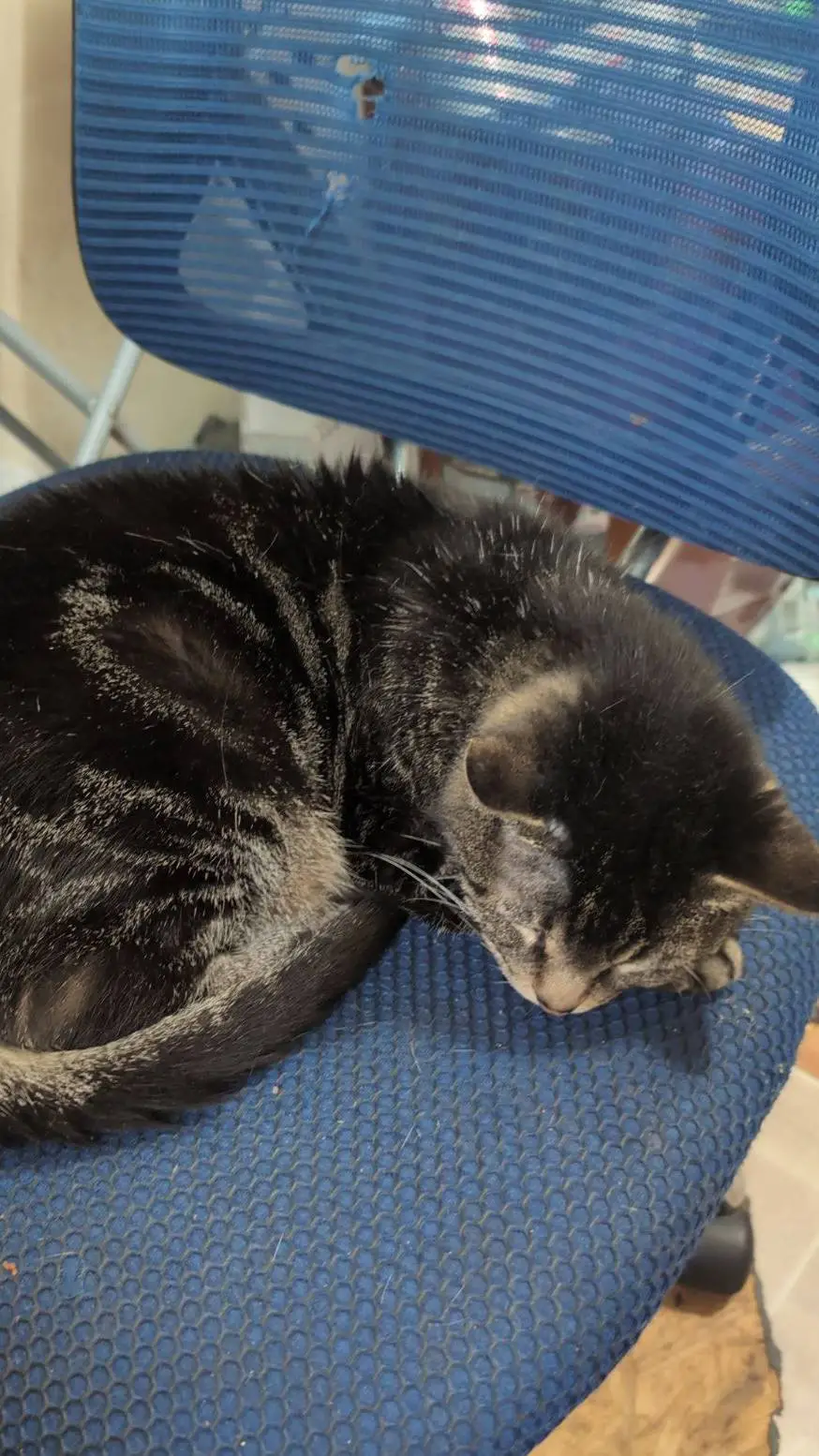 ai character: Cassie background