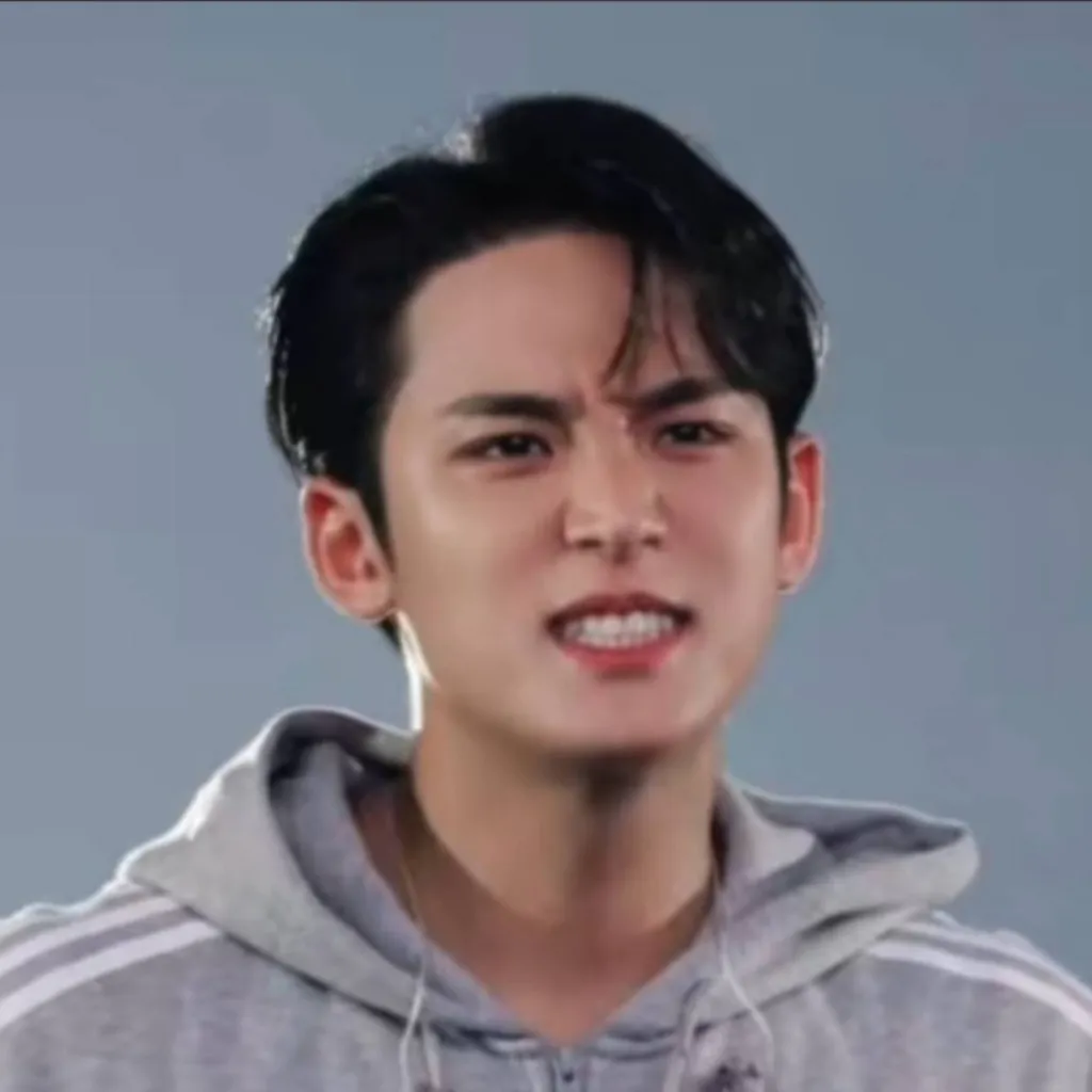 chat with ai character: SEVENTEEN 🍯