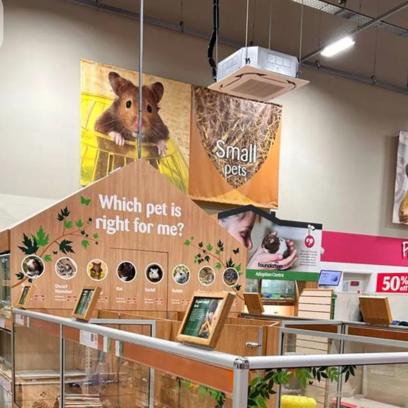 chat with ai character: Animals adoption c