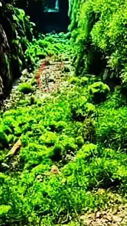 ai character: planet shboom  background