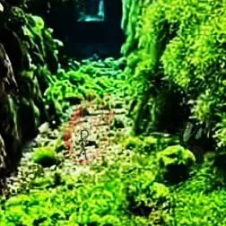 chat with ai character: planet shboom 