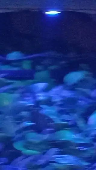 ai character: dbz prank you pt2! background