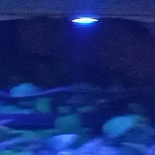 chat with ai character: dbz prank you pt2!