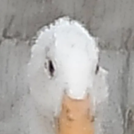 chat with ai character: CH (countryballs)