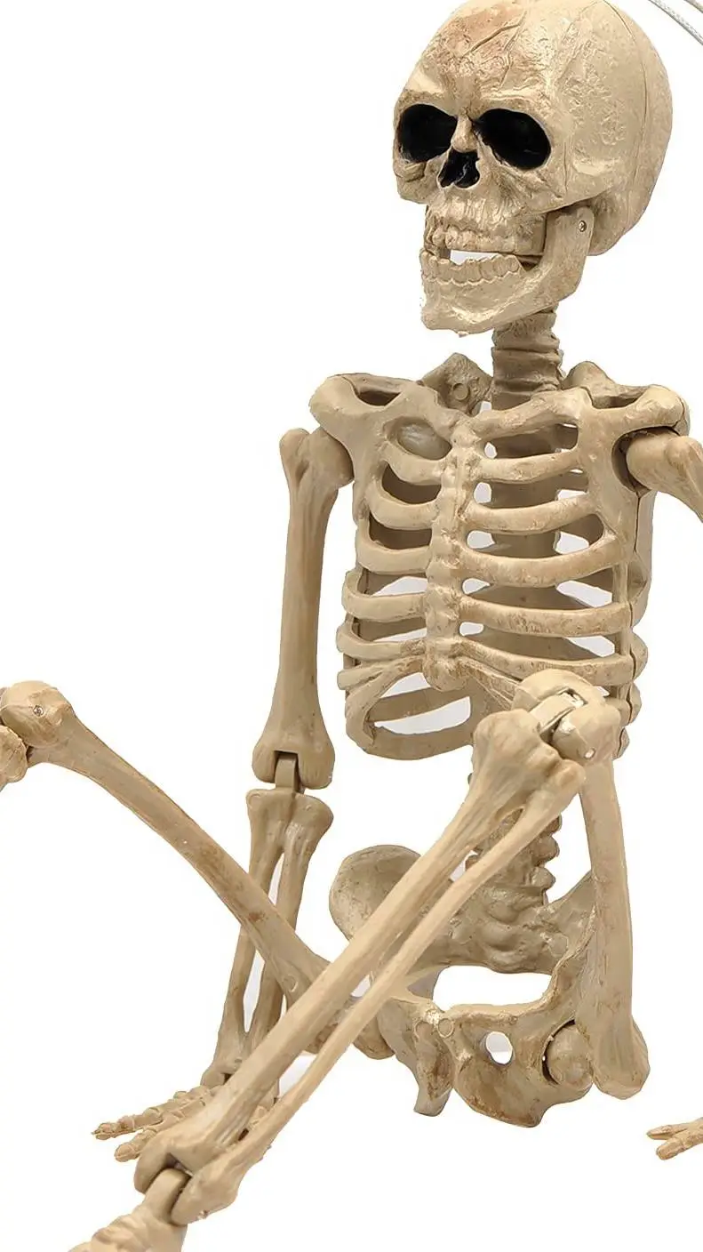 ai character: skelly background