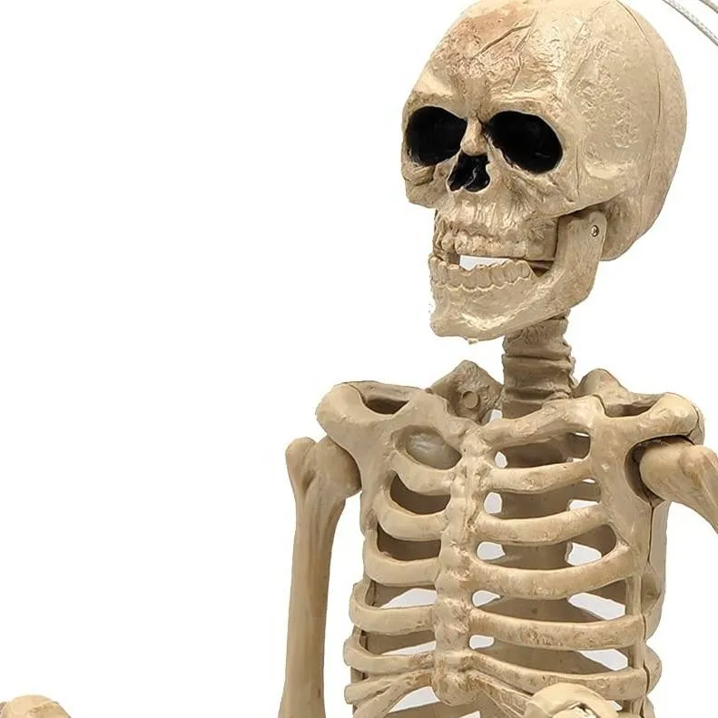 chat with ai character: skelly