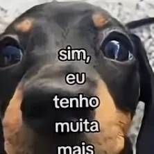 chat with ai character: Luiz Gustavo (eu)