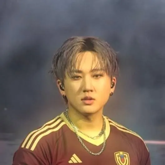 chat with ai character: Changbin