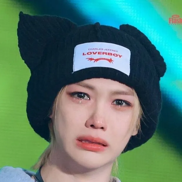 chat with ai character: StrayKids(concert)