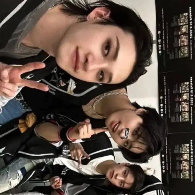 chat with ai character: Skz (concert)