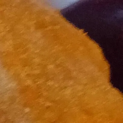 chat with ai character: st Argument.