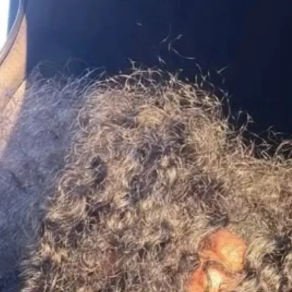 chat with ai character: {—Tyia—} 〽️