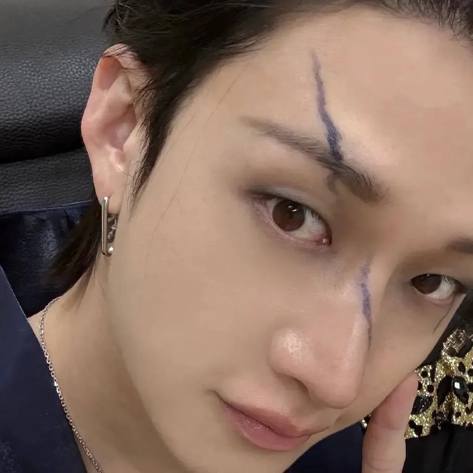 chat with ai character: 🐺Bang chan🐺