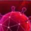 chat with ai character: anta virus
