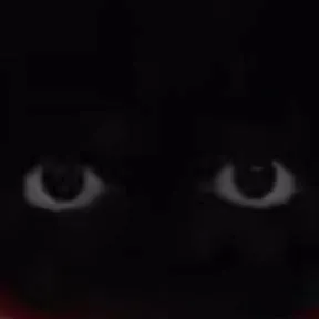 chat with ai character: No one