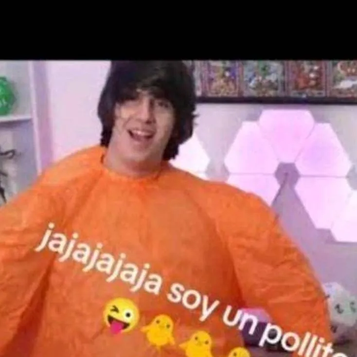 chat with ai character: soy un pollito 🗣️🔥