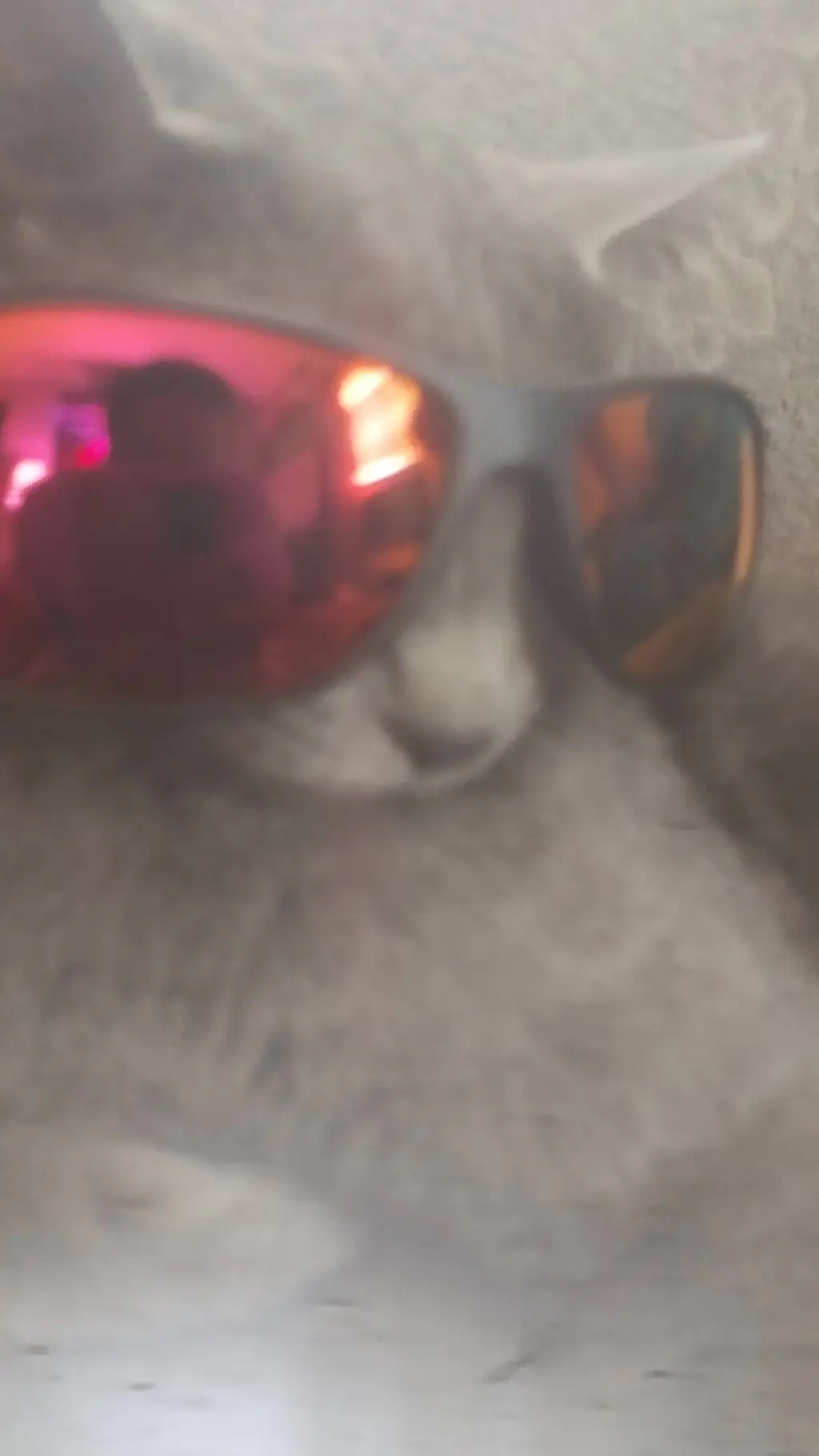ai character: Cool cat background