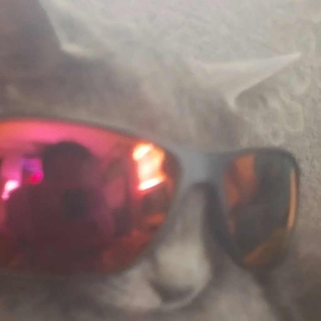chat with ai character: Cool cat